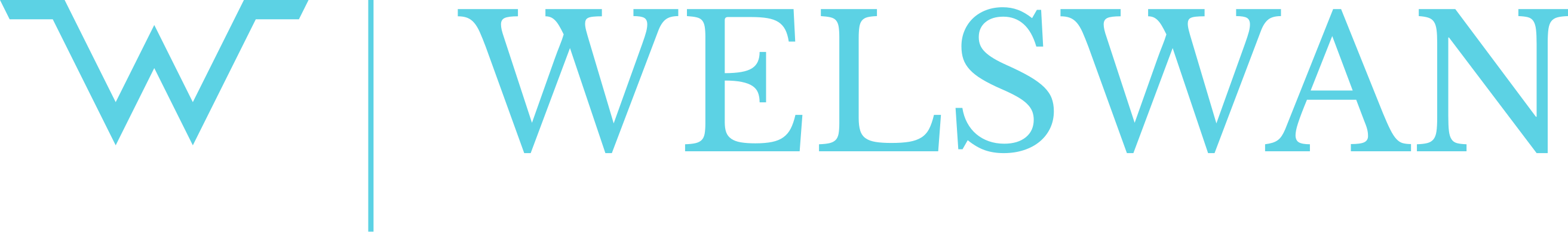 Welswan Financial Services LLP